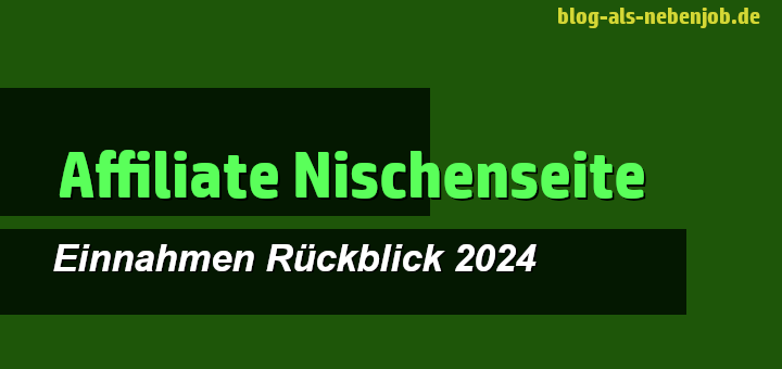 Affiliate Nischenwebseite Einnahmen Rückblick 2024